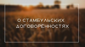 О Стамбульских договоренностях О Стамбульских договоренностях